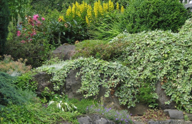 Eifel Escape: Cozy & Scenic - Photo 30