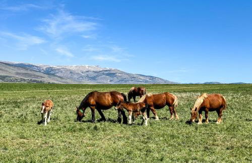 Cal Esquirol - Foto 28