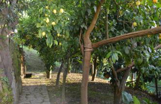 Mary's Country Villa - Villa in charming and amazing Sorrento Coast - Foto 27