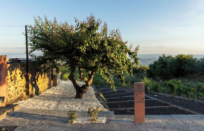 PODERE DELL'ETNA SEGRETA - Nature hotel - Foto 35