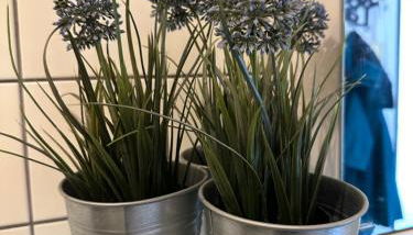 Kleines Apartment mitten in Bergneustadt - Foto 3