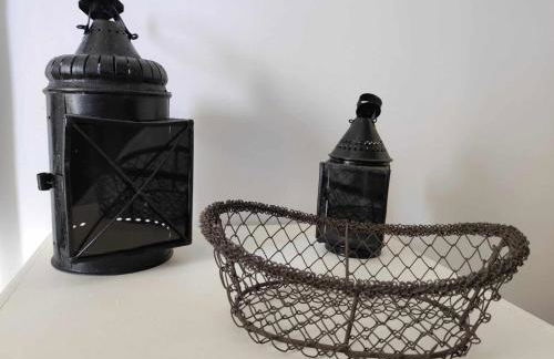 La glycine - Foto 20