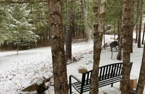 Tranquil Nature Retreat on 12 acres! - Foto 6