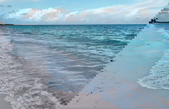 NEW Stunning Beachfront Condo at the Coral Beach - Foto 51