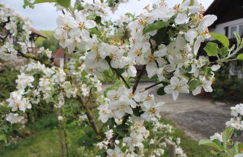 Appartement-Stetten - Foto 16