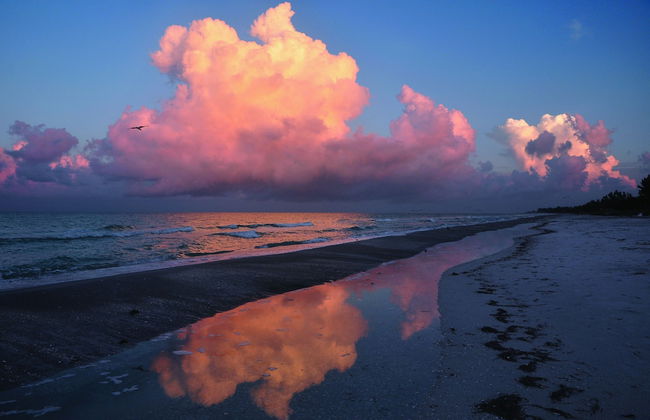 Beach Castle Resort by RVA - Foto 71