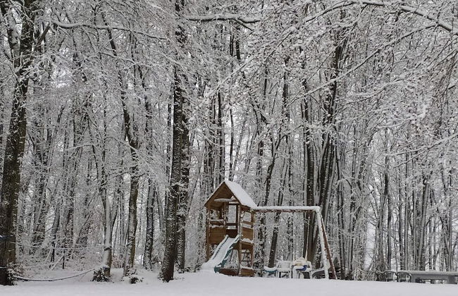 New House on the Edge of a Large Forest, Large Garden,very Quiet, Beautiful Area - Foto 30