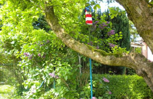 Strandnelke Modern retreat - Foto 11