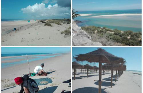 Casas da Praia - Foto 19