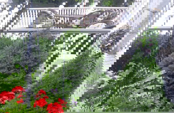 All Suites Whitney Manor - Photo 44