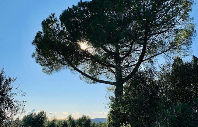 Tenuta Agricola Fraschiera - Foto 47