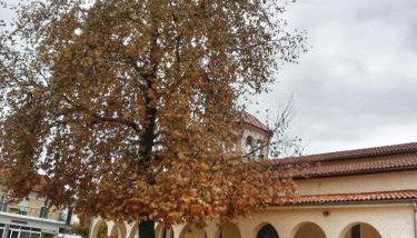 Village House Grevena - Foto 4