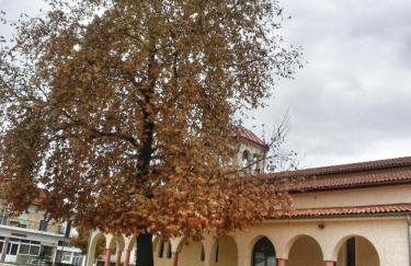 Village House Grevena - Foto 4