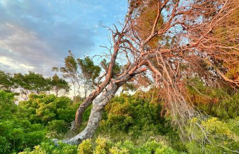 Potidea apartments - Foto 28