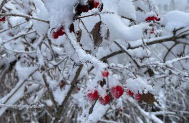 FÜNF ROSEN Boutique Apartment - Bio-Ferienwohnung am Staffelsee im Blauen Land - Foto 37