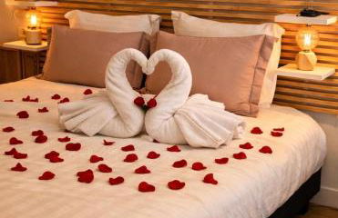 Perle Dazur Jacuzzi Suite Parking Prive 5min Mer - Foto 6