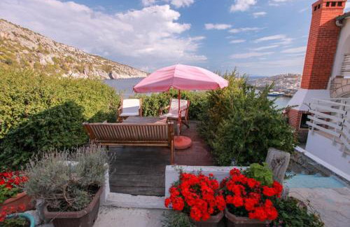 Robinson Elizabeta - Photo 73