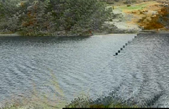 hermosa cabaña coyhaique - Foto 7