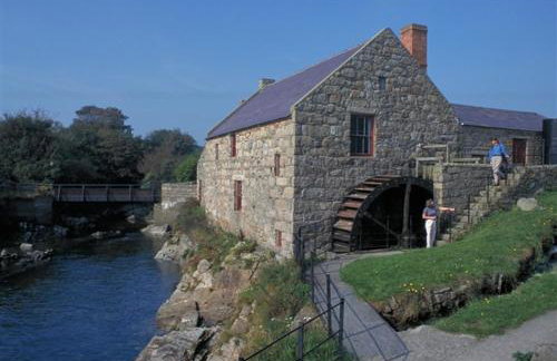 Oaktree Manor - BBQ, games rooms and pet friendly - Photo 26