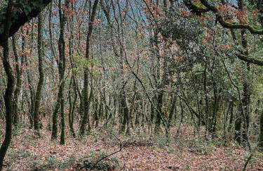 Villa Riverwood - Foto 54