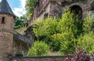 Das Kartenhaus - Foto 23