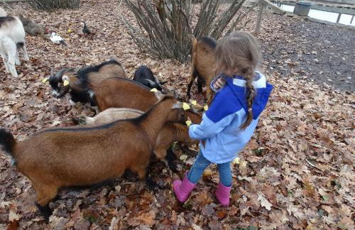 Casa das Palmeiras - Pedagogic Farm - Foto 22