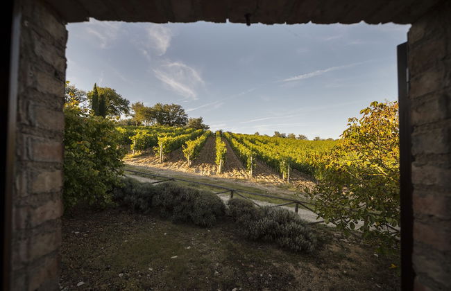 Collelungo - Foto 35