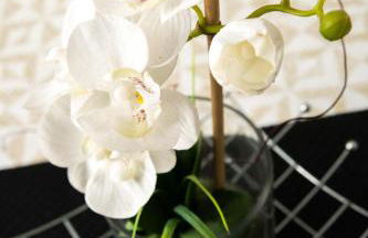 BnGo l Cosy et Calme l Métro B, 4 personnes - Foto 21