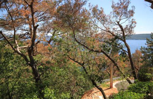 Apartments by the sea Brsec, Opatija - 2359 - Foto 27