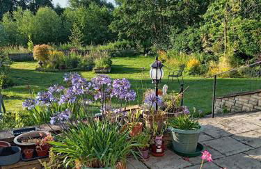 Room with a View - Photo 12