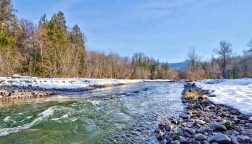 Waterfront Cabin at White Pass and Mt Rainier National Park - Foto 4