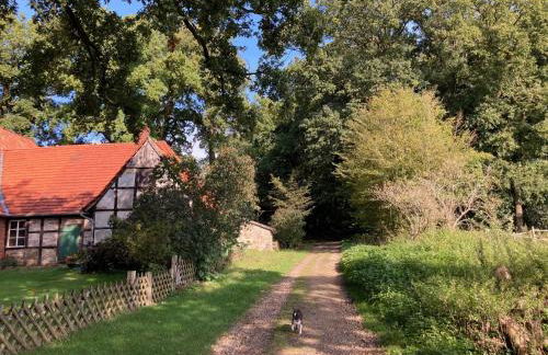 Holiday Home Schönes Ferienhaus in Brochterbeck mit Garten by Interhome - Foto 25