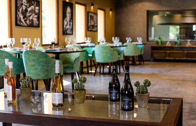 Colonia Caroya Wineries Tour & Tasting - Foto 5