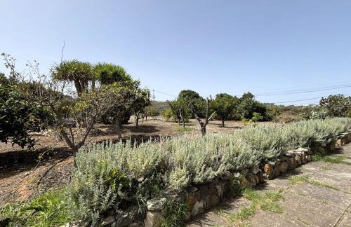 Casa Rural Ca'Chispita - Foto 73