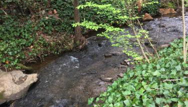 Brookside Cottages - Foto 4