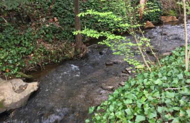 Brookside Cottages - Foto 4