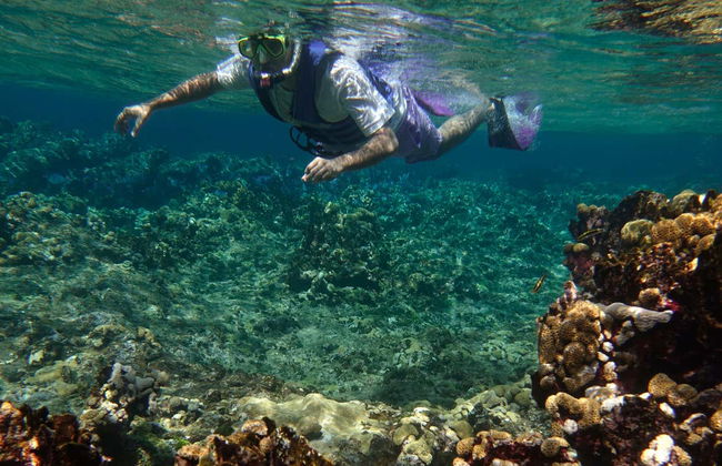Snorkeling à San Andrés - Photo 4