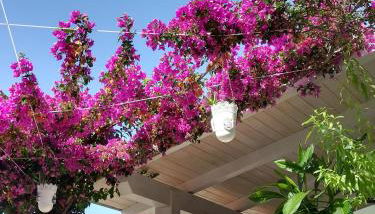 "Villetta tra Mare e Barocco" - Foto 3