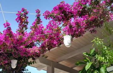 "Villetta tra Mare e Barocco" - Foto 3