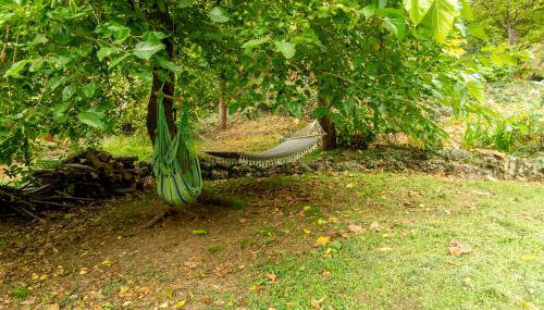 Elena's Apartment in Therma Samothrace - Foto 5, Garden