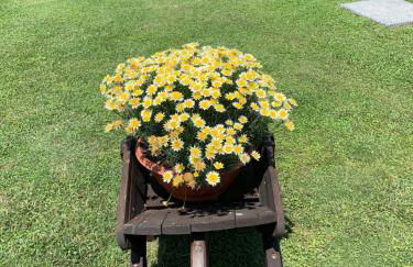 Aurelia Rta Detta il Cascinale - Foto 8