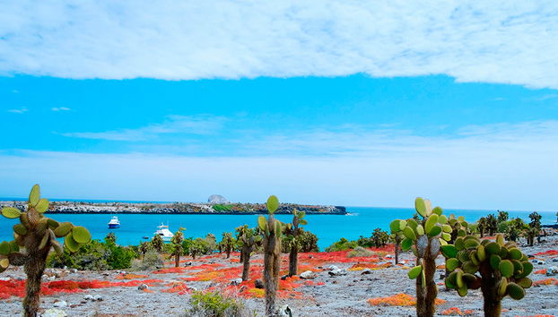 Plaza Islands Full-Day Tour from Santa Cruz - Photo 3