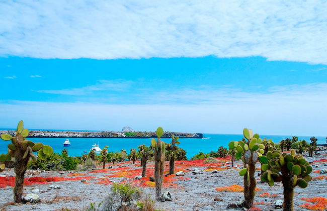 Plaza Islands Full-Day Tour from Santa Cruz - Photo 3