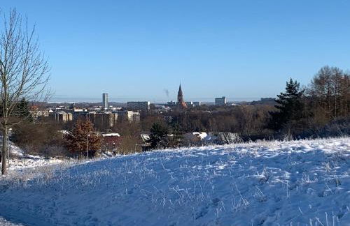 Ferienwohnung Kranichnest - Foto 38