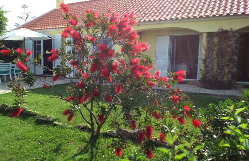 Holiday Home Quinta do Mar mit Whirlpool by Interhome - Foto 12