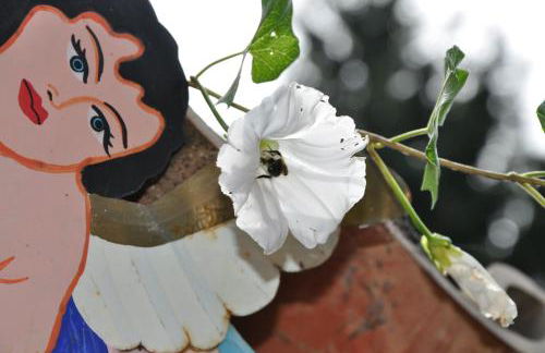 Casa del Sol - Foto 26