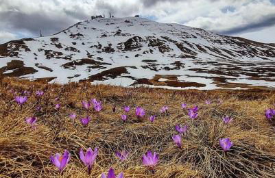 Sestola Paradise All Seasons - Foto 11