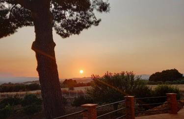 Stella del Rio - Foto 17