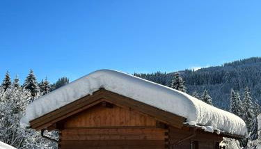 Chalet Berghaus Rusch - Photo 5