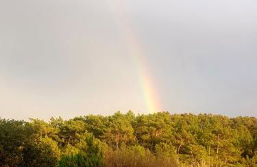 Sondela Self Catering - Foto 35